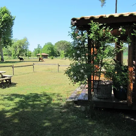 Foret Landaise بيت للعطل