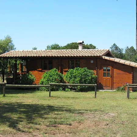 Holiday home Foret Landaise *