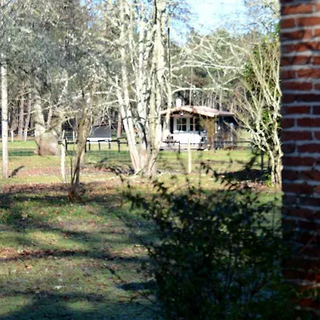 Foret Landaise بيت للعطل *
